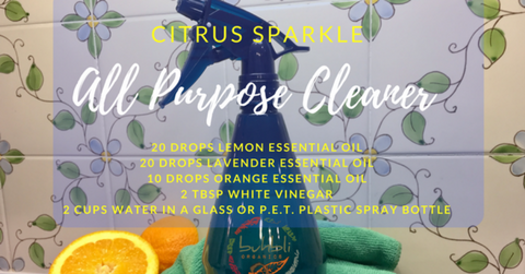 Non-Toxic DIY All Purpose Cleaner